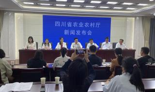 2023年9月23日是什么日子