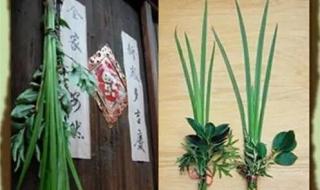艾草怎么挂门上才正确