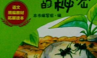 我发现了蚂蚁的秘密